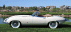 [thumbnail of 1961 Jaguar E-type Roadster-wht-sVl=mx=.jpg]
